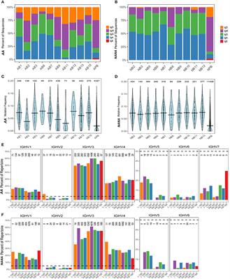 Local Clonal Diversification and Dissemination of B Lymphocytes in the Human Bronchial Mucosa